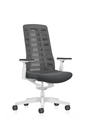 1. FAUTEUIL ERGONOMIQUE PURE DOSSIER RESILLE DE INTERSTUHL (2)