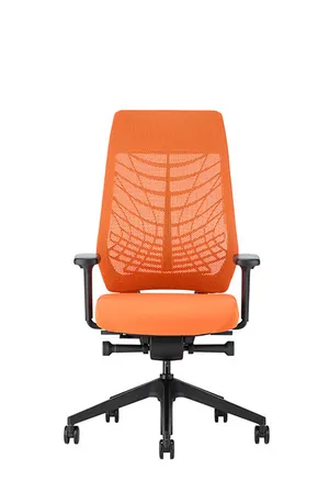 1. FAUTEUIL ERGONOMIQUE JOYCE DE INTERSTUHL (2)