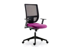 1. FAUTEUIL DE BUREAU TERTIO DOSSIER RESILLE DE SOKOA