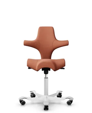 chaise_ergonomique_capisco_flokk