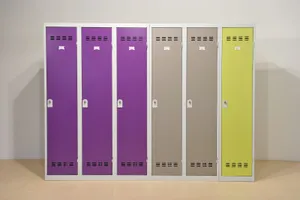 VESTIAIRE GAIN DE PLACE PORTE L DE VINCO (15)