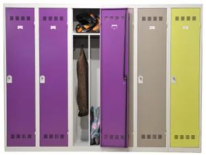 VESTIAIRE GAIN DE PLACE PORTE L DE VINCO (8)
