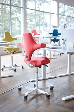 chaise_ergonomique_capisco_flokk