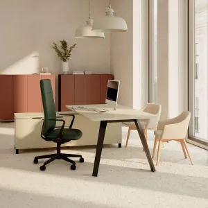 amenagement-bureau-de-direction-design-altitude-armoires-linea-chauffeuses-nani