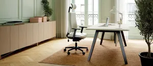 ameublement-bureaux-professionnels-fauteuils-ergonomiques-axion-bureau-altitude-armoires-linea